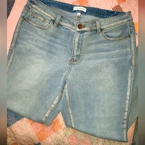 Lane Bryant Jeans 👖SO cool!